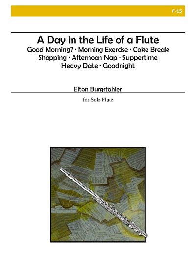 A Day In The Life Of A Flute, Fl