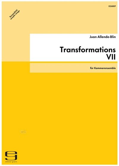 Allende Blin Juan: Transformations 7 (2003)