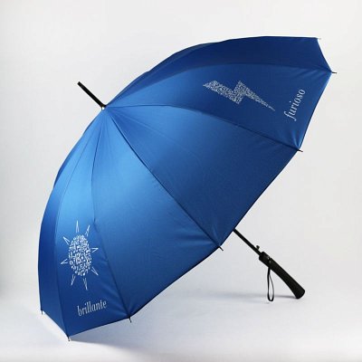 Regenschirm (RegSch)
