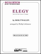 R. Wallin: Elegy (Pa+St)